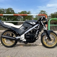 実働 綺麗 VTZ250 MC15 G-styleテール 社外シ...