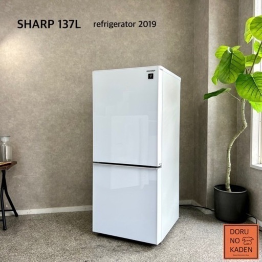 ☑︎ご成約済み SHARP 一人暮らし冷蔵庫 137L✨超美品 ガラストップ