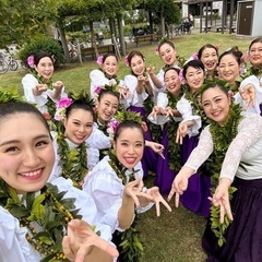 【戸塚フラダンス】お仕事帰・学校帰りにフラ🌺新設✨初めての方向けクラス有 戸塚フラダンス教室の画像