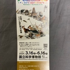 ⭐︎完売しました⭐︎チケット/博物館　美術館