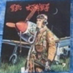 軍歌　太平洋戦争　LPレコード9枚組セットの画像