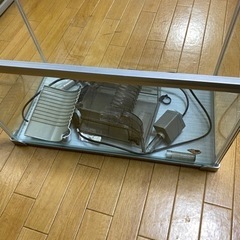 水槽★決まりましたの画像