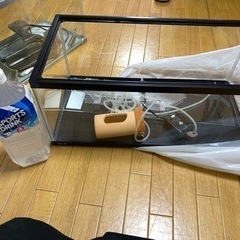 水槽★決まりましたの画像