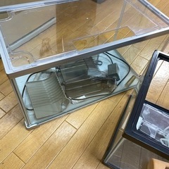 水槽★決まりましたの画像