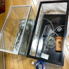 水槽★決まりました