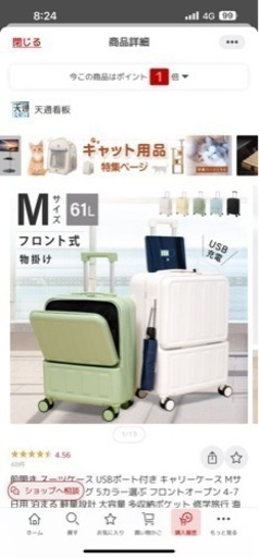 キャリーバック