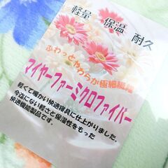 【おみせっち】新品未使用 SESIRIA VALENTINO ☆軽量・保温・耐久☆ マイヤーファーミクロファイバー毛布 シングル 150×210cm グリーンの画像