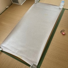 PVC(ビニール)カーペット