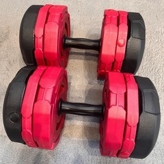 可変ダンベル 20kg×2