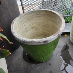 大鉢の画像