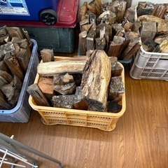 生活雑貨 家庭用品 ガーデニングの画像