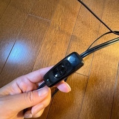 バリ風　間接照明　の画像