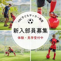 室内ミニゲーム！個人OK＃初心者歓迎３VS1や２VS2など品川区女子・男子毎週水曜日開催！初心者歓迎 - スポーツ