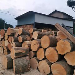 原木　買い取り致します - その他