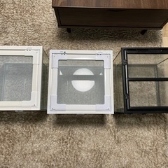 グラステラリウム 3030 1個 ジオスペース 30 2個