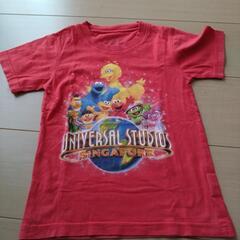 xs　Tシャツ　セサミストリート