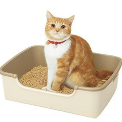 猫のトイレ
