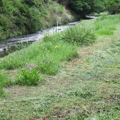 決まりました。　有料で草取り、草刈りお願いします