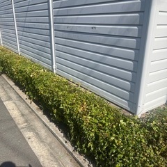 未経験大募集、植物好きな方　お庭好きな方の画像