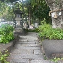 未経験大募集、植物好きな方　お庭好きな方の画像