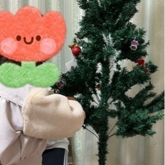 クリスマスツリーとオーナメントセットの画像