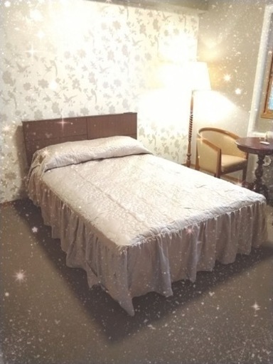 ダブルベッド  フランスベッド　フレームのみ