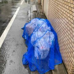 【駒込駅】【月約3万円】【週3.5日×朝1.5時間】マンション清掃/未経験者可～日払い可(駒込1)の画像