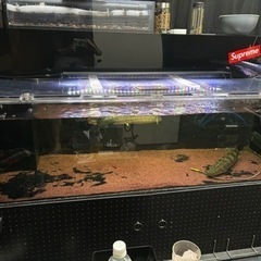 1500水槽