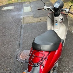 バイク スズキの画像