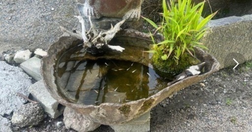 オリジナル手造りめだか鉢