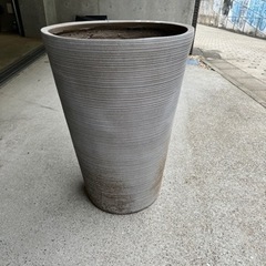 あげます。大型植木鉢　ガーデニングの画像