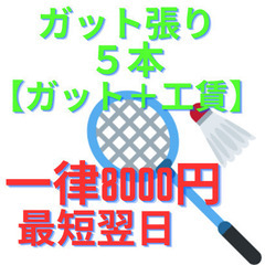 バドミントン　ガット張り　5本