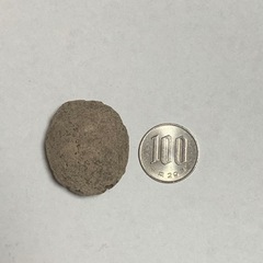 睡蓮肥料　水性植物　まるやま1号　500g      千葉県肥料販売業務開始届受理済の画像