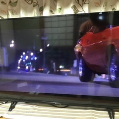家電 テレビ 液晶テレビ