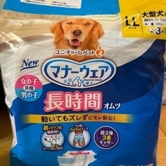 ③わんちゃんのオムツ