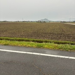 田植えの手伝い