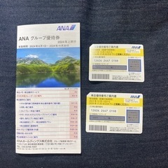 チケット テーマパーク/遊園地