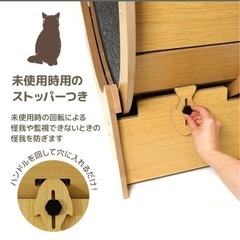 猫 キャットホイール ダイエットの画像