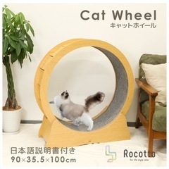 猫 キャットホイール ダイエットの画像