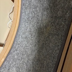 猫 キャットホイール ダイエットの画像