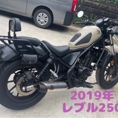 ホンダ　レブル250 2019年車