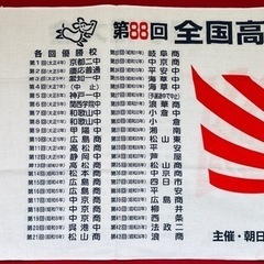 非売品 新品 甲子園　第88回全国高校野球選手権大会 朝日新聞 日本高野連 手ぬぐいの画像