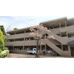 ♡♡初期費用なんと14万7000円！♡♡ 小田急多摩線「五月台」...