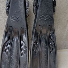 ダイビングのフィンの画像