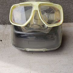 大人の女性用マスクの画像