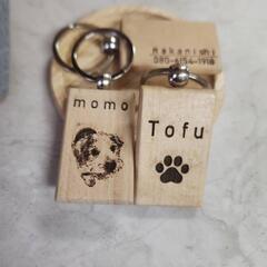 わんちゃんの猫ちゃんの連絡先キーホルダー(首輪用)