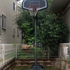 バスケットボール  ゴール