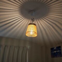 エジソンバルブLEDの照明器具2個セット