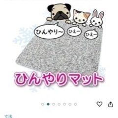 【半永久的】ペット用　冷を取る　御影石のマットの画像