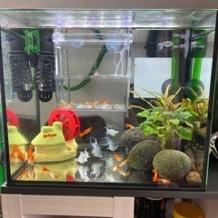 生活雑貨 調理器具 キッチンツール